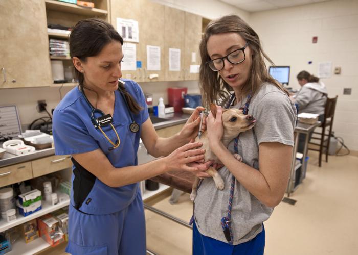 Forsyth Humane Society opens location in Forsyth County Animal Shelter