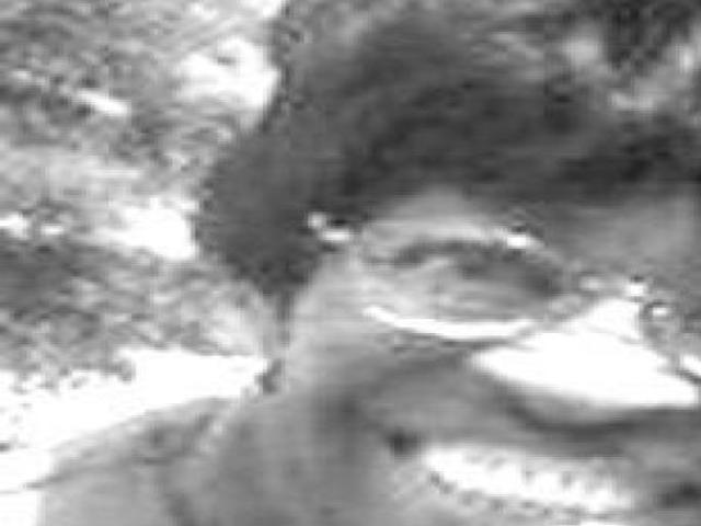 Hairston Mother Betty Jean Obituaries Journalnow Com