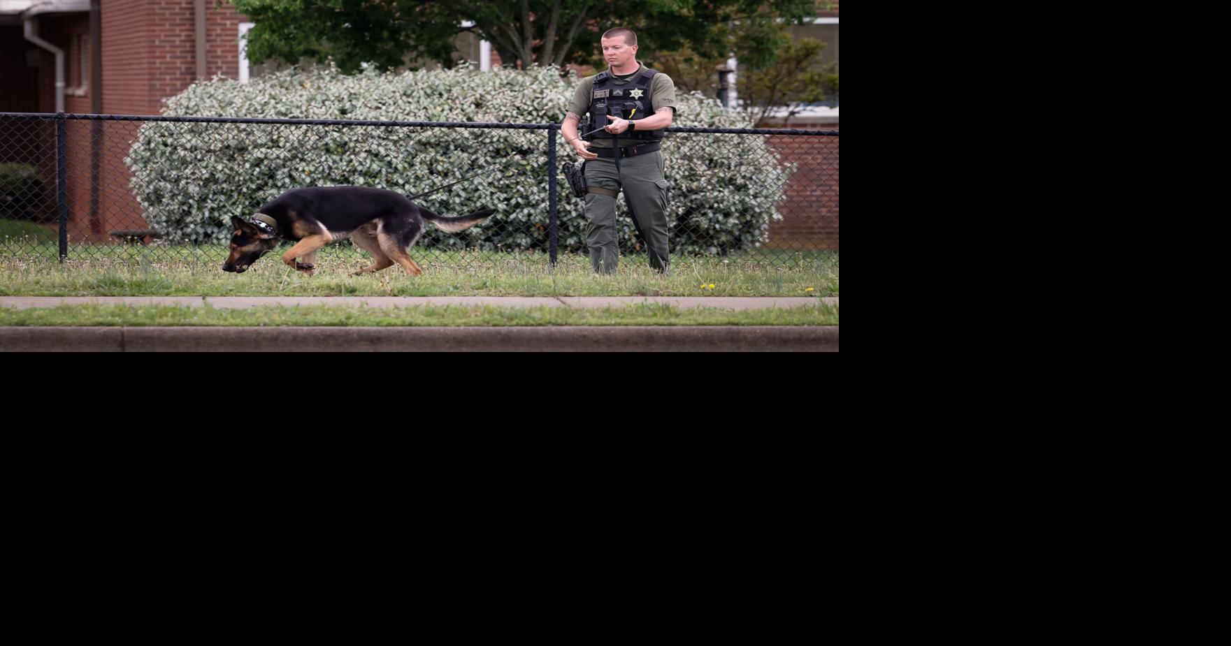 Assault News Image