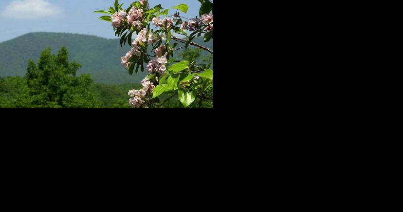 Our view: Preserving our beautiful state - Vimarsana News