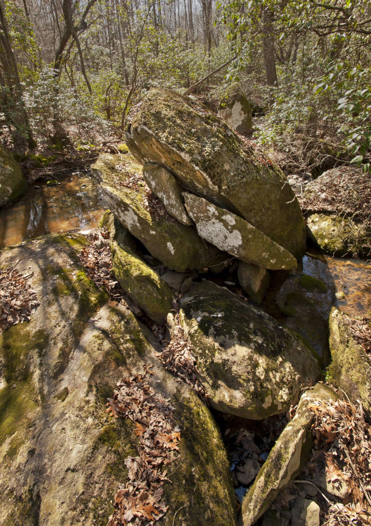 Walkers Creek area of Uwharrie Trail
