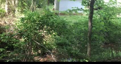 'That creek has tormented us': State orders airport to fix erosion issues - Vimarsana News
