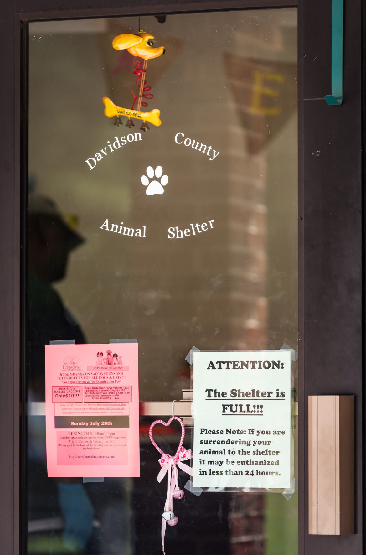 Davidson County animal shelter full; animals may be euthanized within