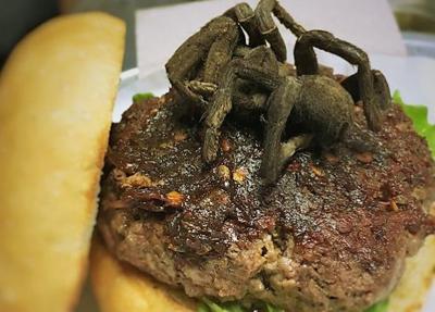 durham restaurant is crawling with them