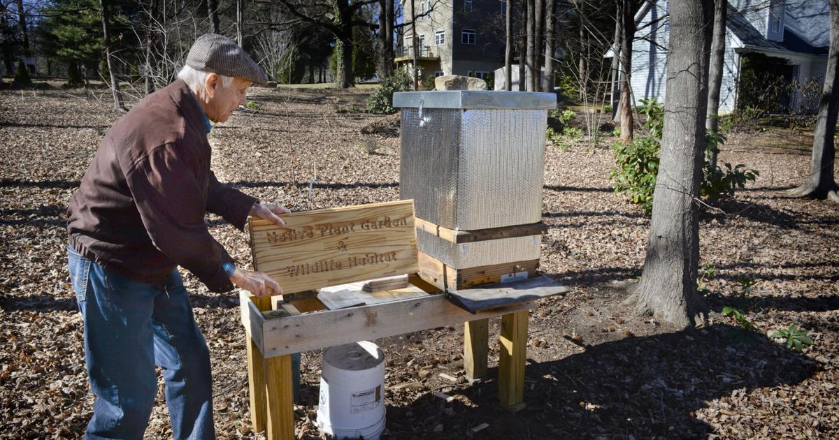 Working with nature: Gardener is using hugelkultur berms to conserve ...
