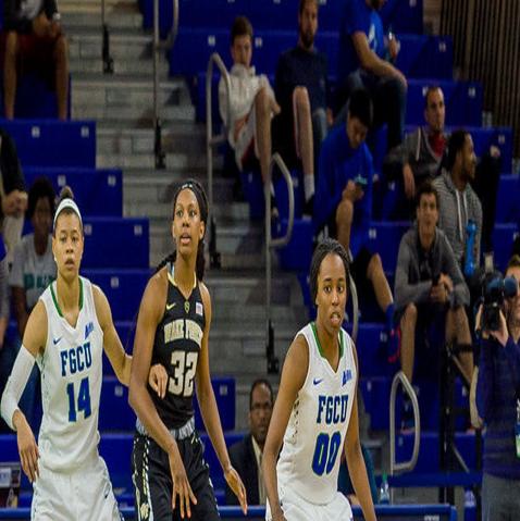 Wake Forest Women S Basketball Season Comes To An End Wfu