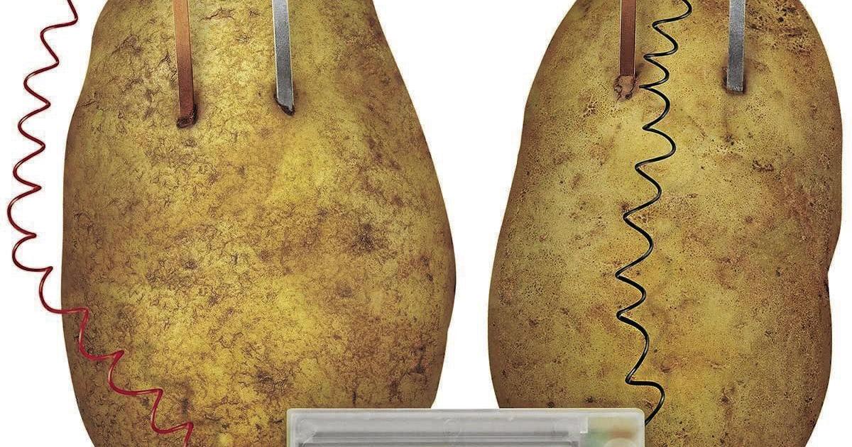 Potato Watch 4M Potato Clock