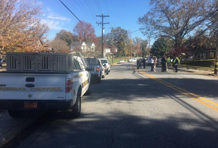 Siblings were killed in Reidsville deadly shooting, police say; mother