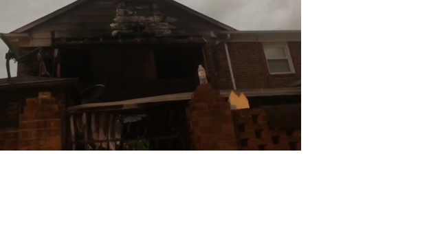 Fire that claimed life of dog displaces five on St. Marks Road in Winston-Salem - Vimarsana News