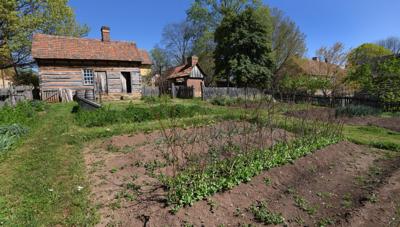 Old Salem Transforms Plots Into Victory Gardens Home Garden