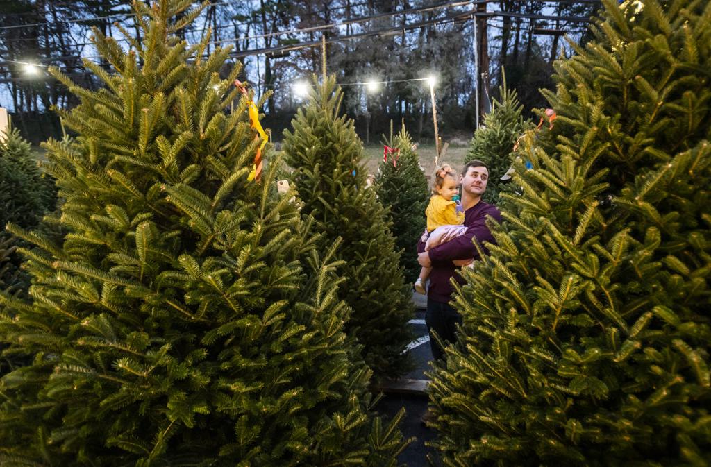 Christmas Trees Plentiful In Winston Salem Area Prices Range From 10 To 15 A Foot Local News Journalnow Com