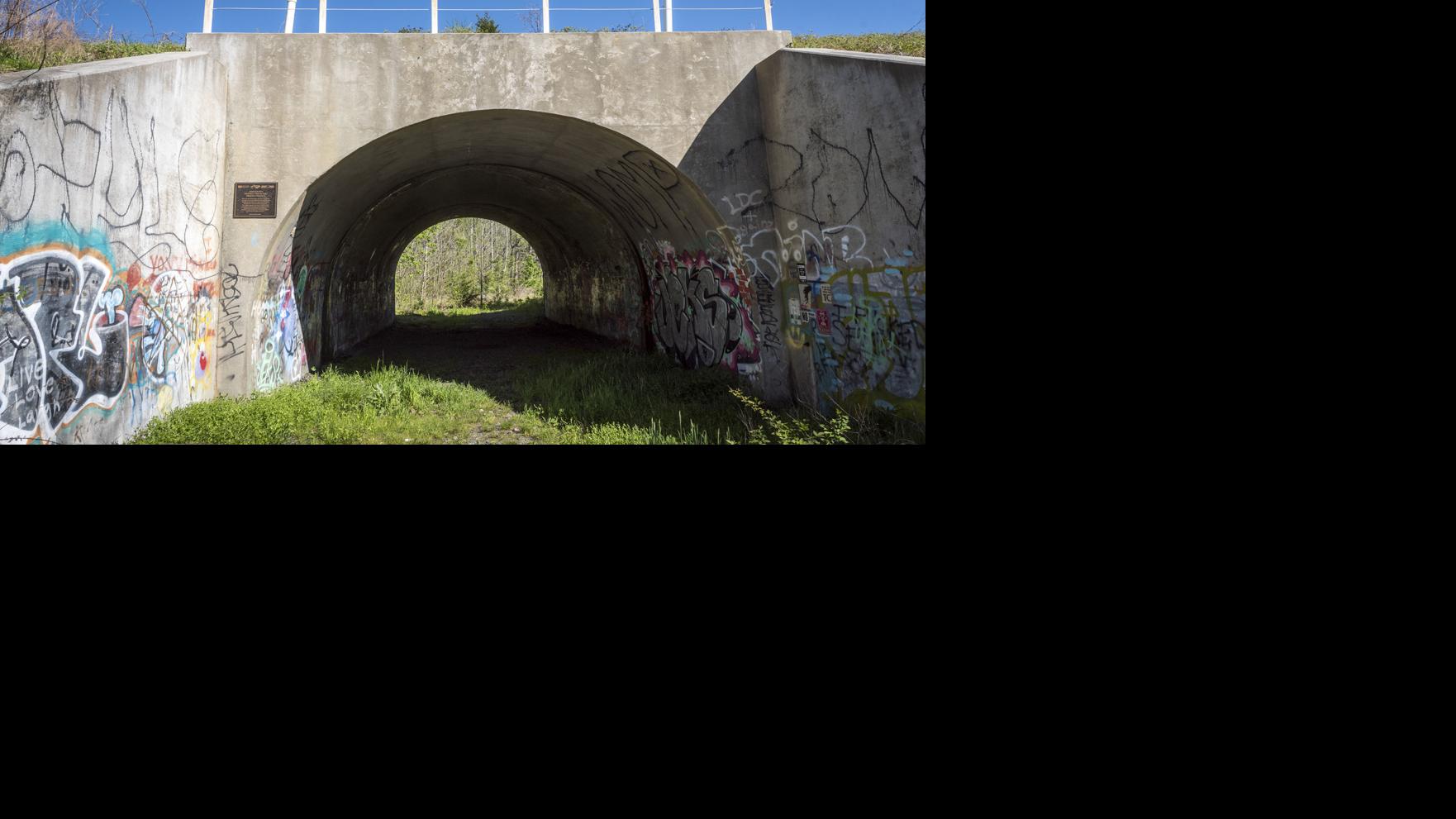 Local Ghost Hunters Say They Have Cracked The Case Of Mysterious Hitchhiker Local News Journalnow Com