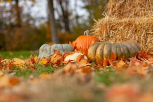 Happy October from Winston-Salem Magazine!
