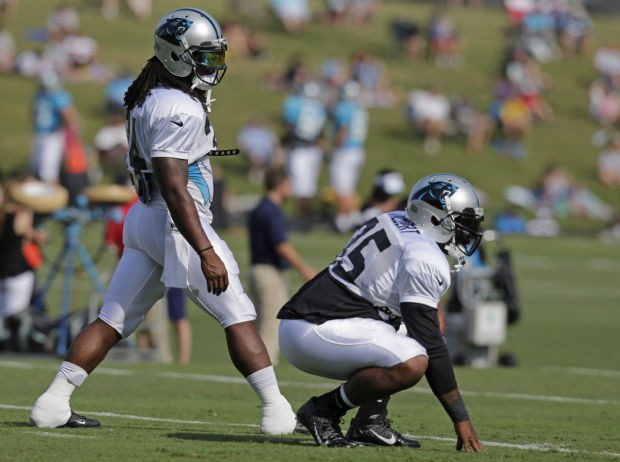 DeAngelo Williams and Mike Tolbert  Carolina panthers, Deangelo williams,  Panthers