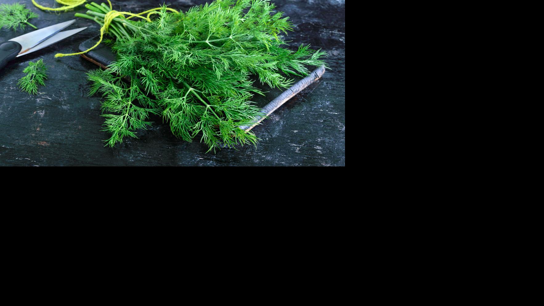 Recipe Swap Dill Makes A Nice Alternative Flavor For Potato Salad Dining Journalnow Com