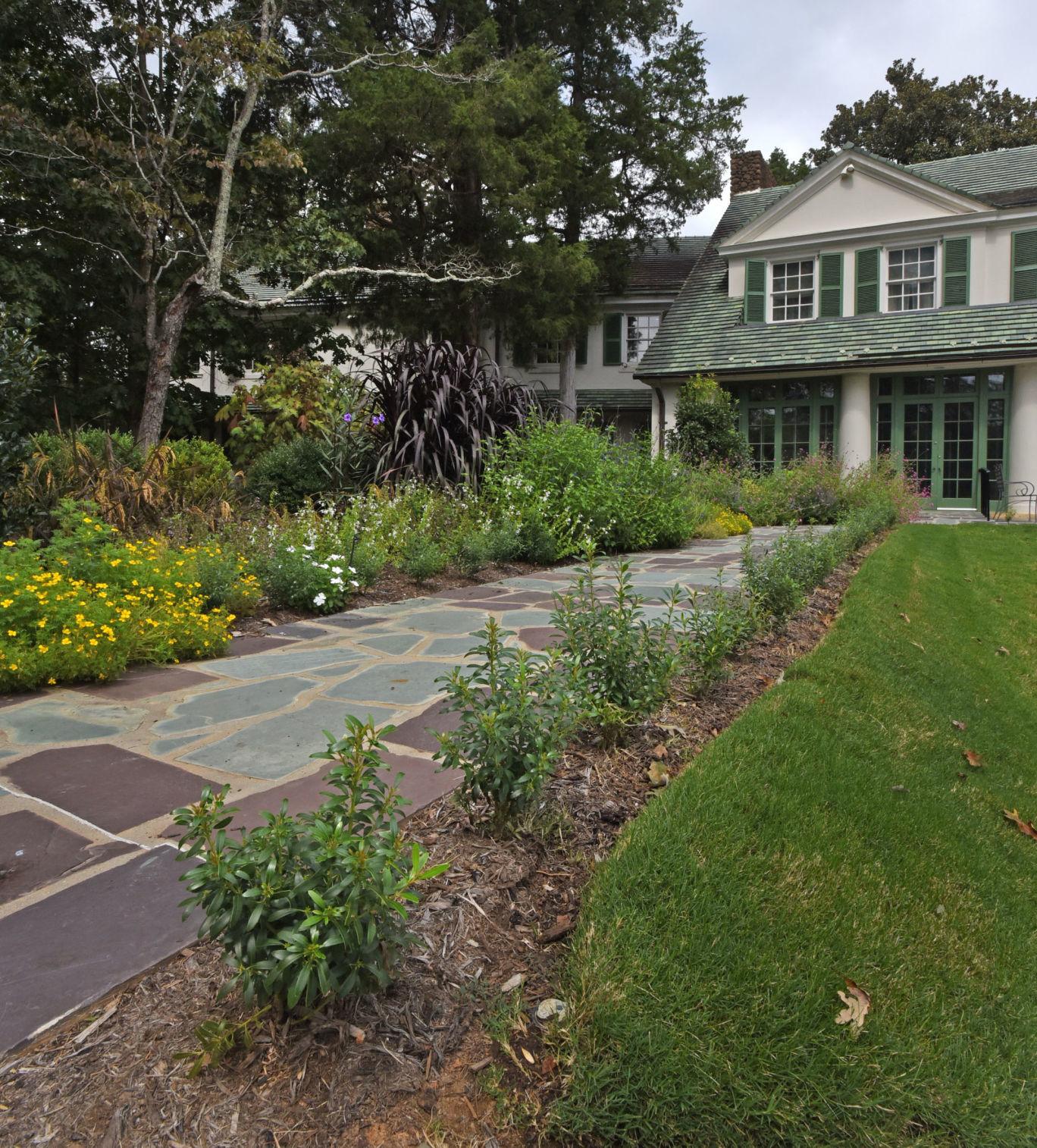 Treatment, replacement are options for dealing with boxwood blight