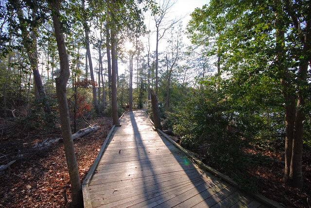 Seven Stroller Friendly Places to Walk