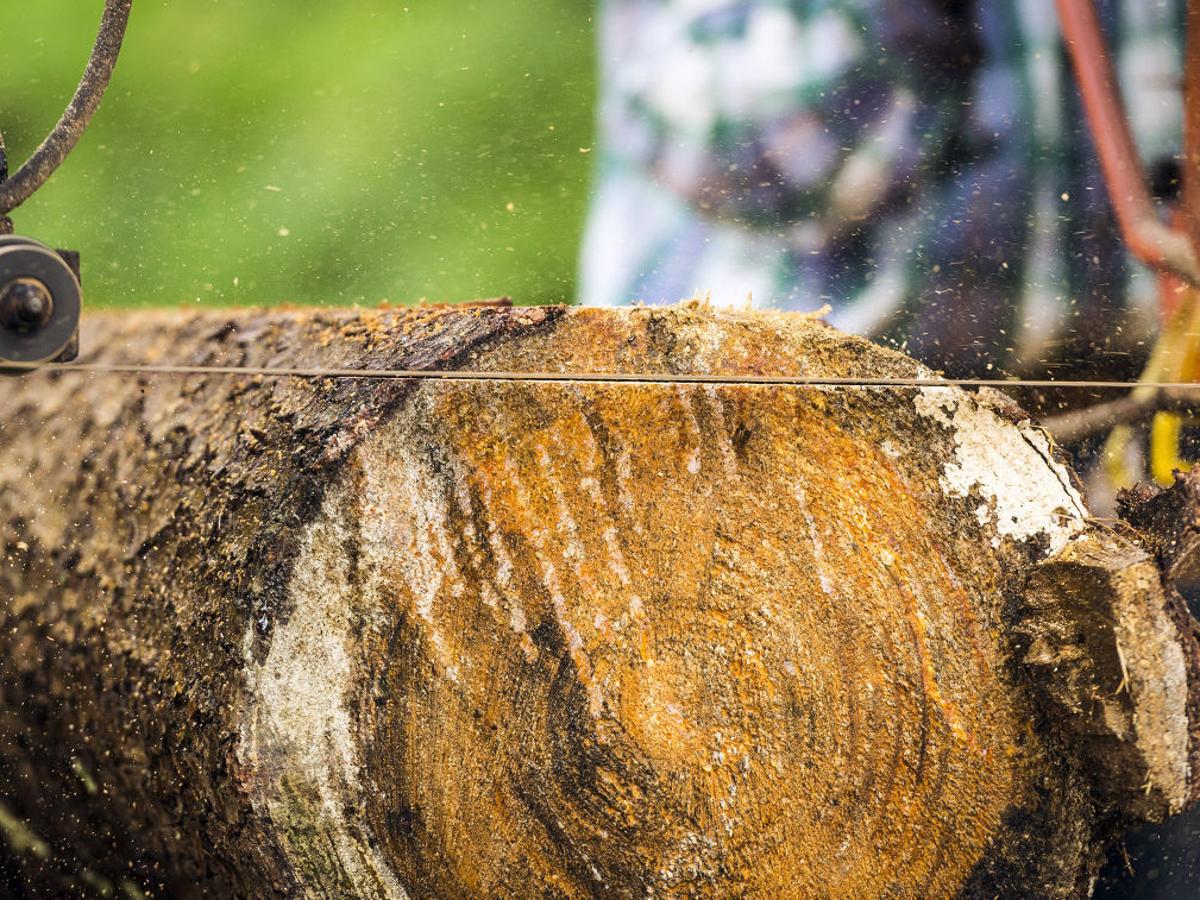 China Turns To Western Nc Trees For Wood Flooring And Furniture State And Regional News Journalnow Com
