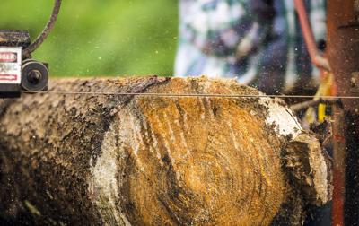 China Turns To Western Nc Trees For Wood Flooring And Furniture