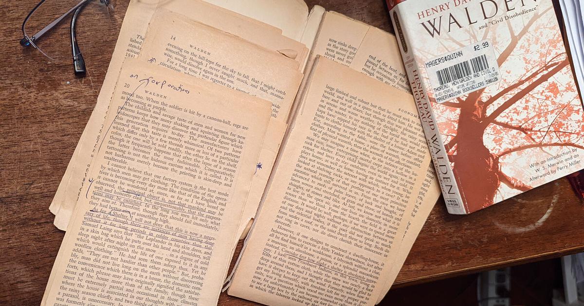 Sentiment prompts readers to cherish their worn-out books |  Books