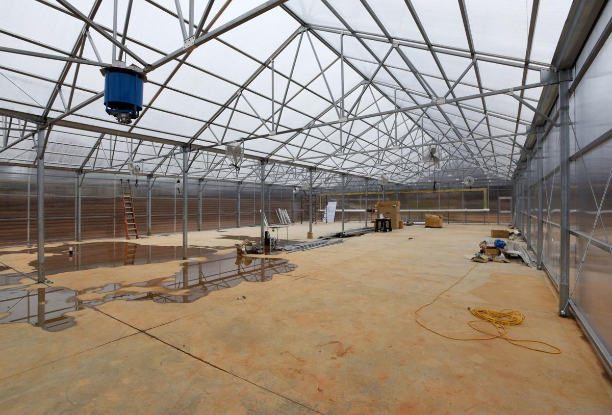 Hydroponics Plan With Possible 1 5 Million Goes Forward In