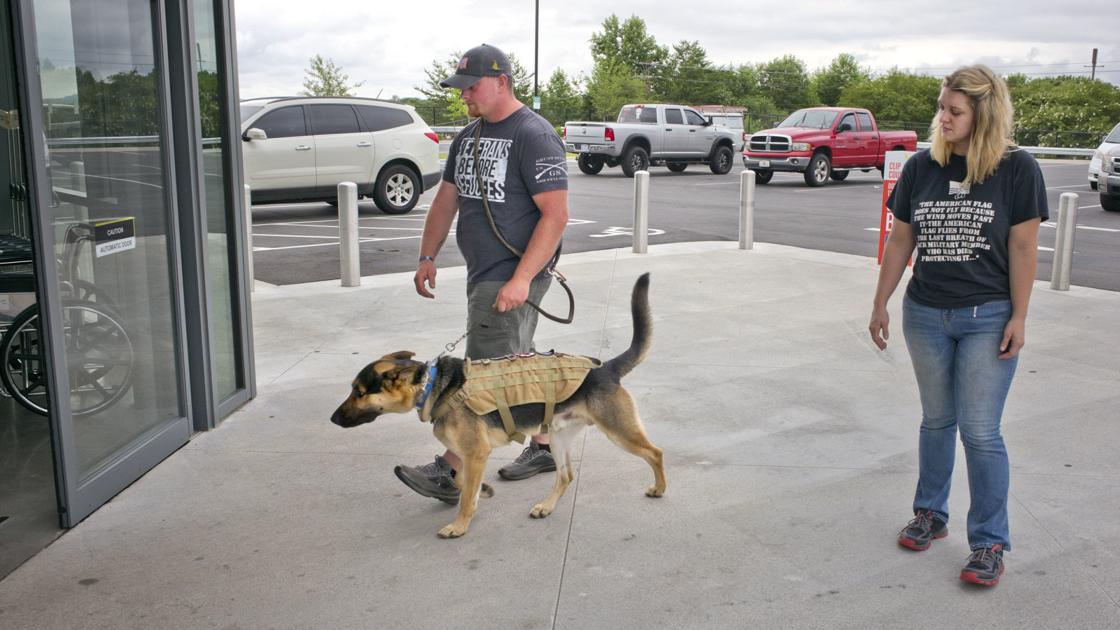 service dogs from lexington group offer lifelines to military veterans for free local news journalnow com service dogs from lexington group offer lifelines to military veterans for free local news journalnow com