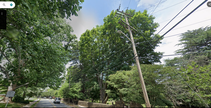 Road Closure and Tree Removal on West End Avenue – October 5, 2026