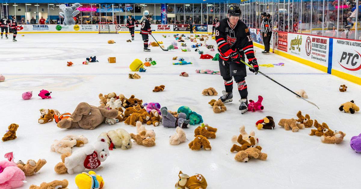 8K teddy bears tossed onto ice at Winston-Salem hockey game
