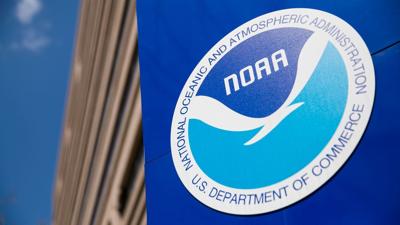 NOAA offering $20,000 reward in dolphin shooting case