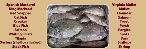 Fresh Fish Choices