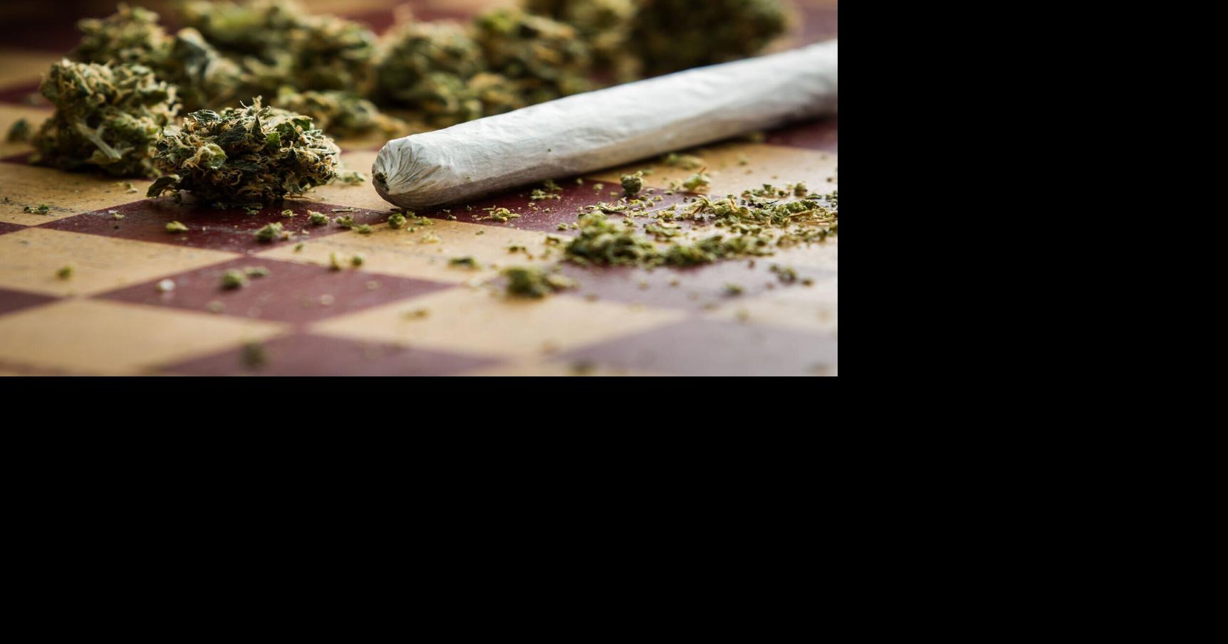 Marijuana, mushrooms seized in Stokes County. 68-year-old woman charged