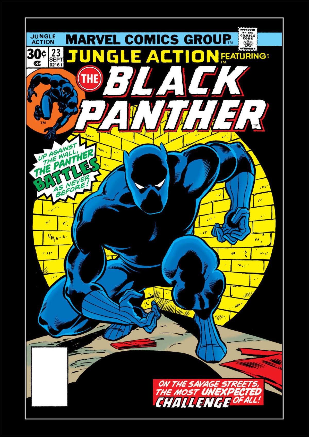 Fans Eagerly Await Black Panther S Solo Film Film Tv