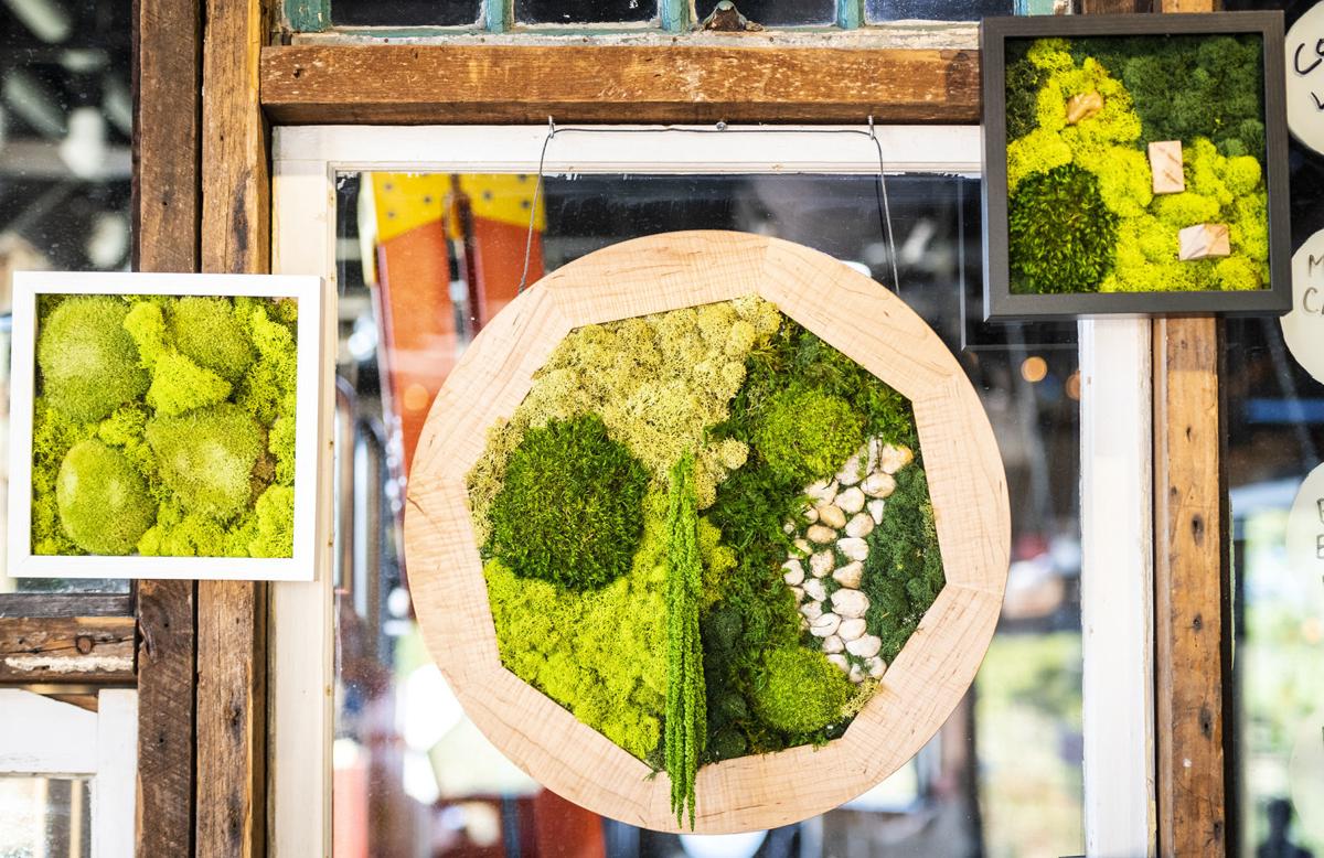 Designer Works With Moss Art To Create Connections With Nature Indoors Journalnow Com