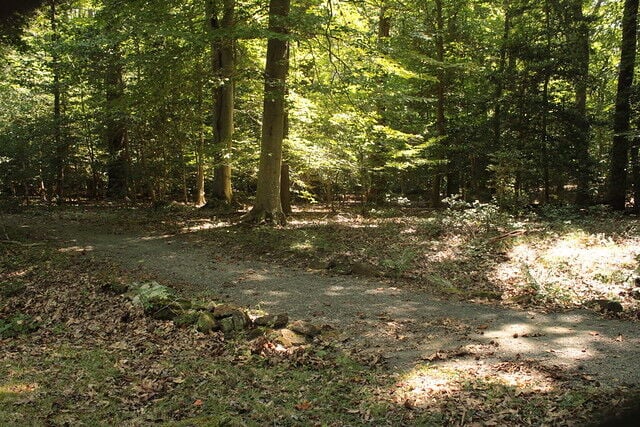 Seven Stroller Friendly Places to Walk