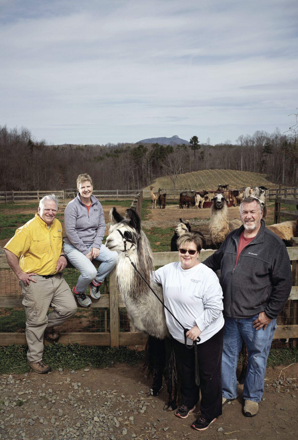 Llama winery outlet