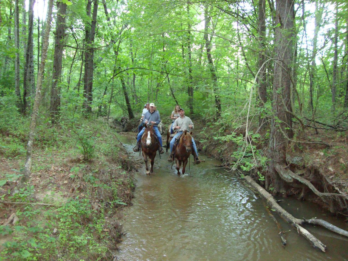 Road Trips Go west to Love Valley Relish Now