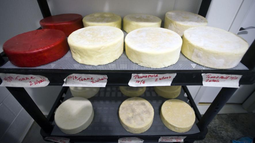 Fromage Fondant is a semi-hard cheese - L'Artisan Cheese