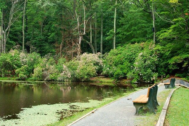Seven Stroller Friendly Places to Walk