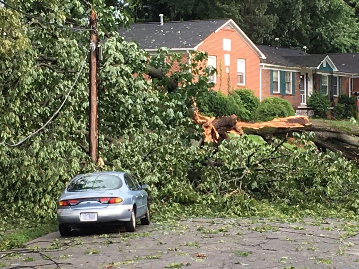 Storm damage around WinstonSalem