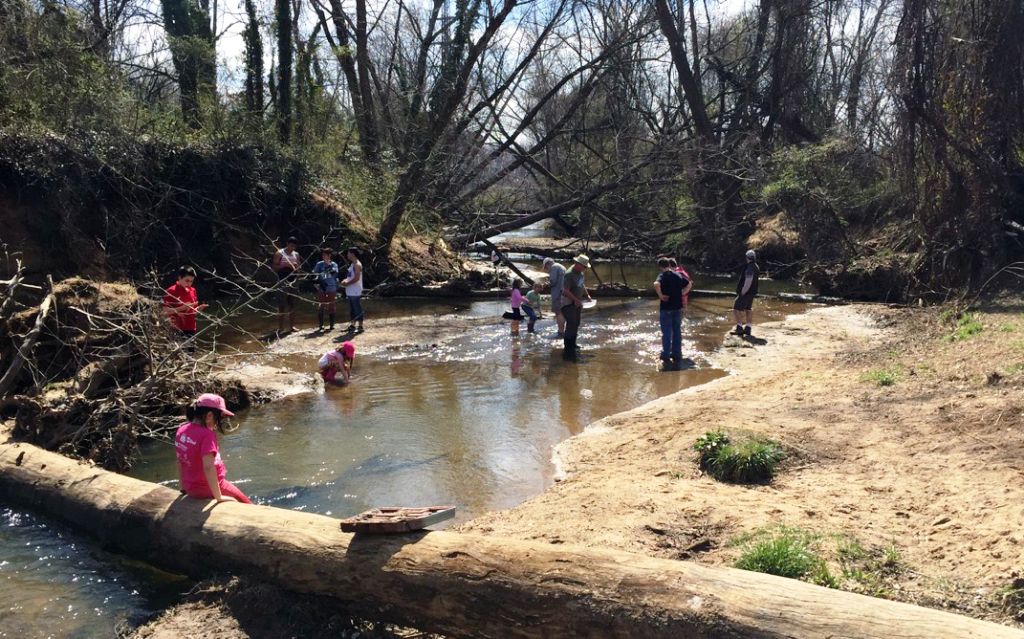 The Call of the Creek