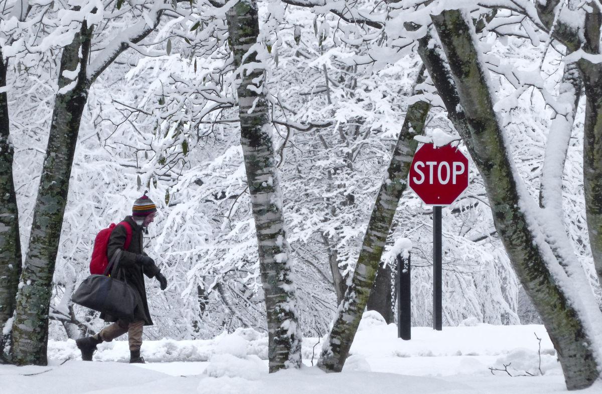 Wet snow blankets WinstonSalem Galleries