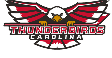 Thunderbirds drop two of three games at the Annex to the Columbus River Dragons - Vimarsana News