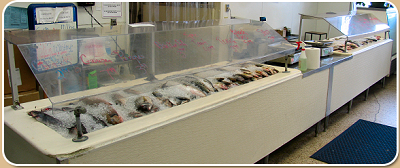 Fresh Fish