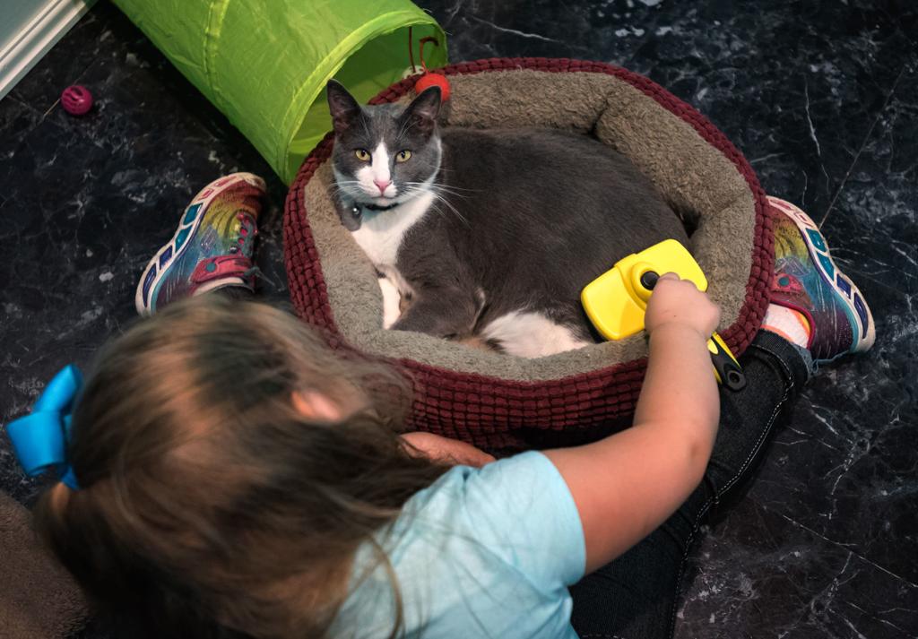 Cats And Waffles Kernersville Cafe Offers Bakery Treats And A