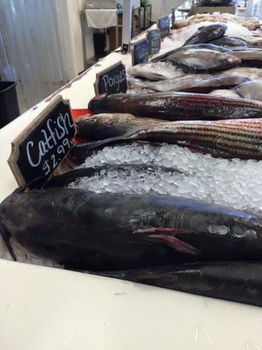 Fresh Catfish
