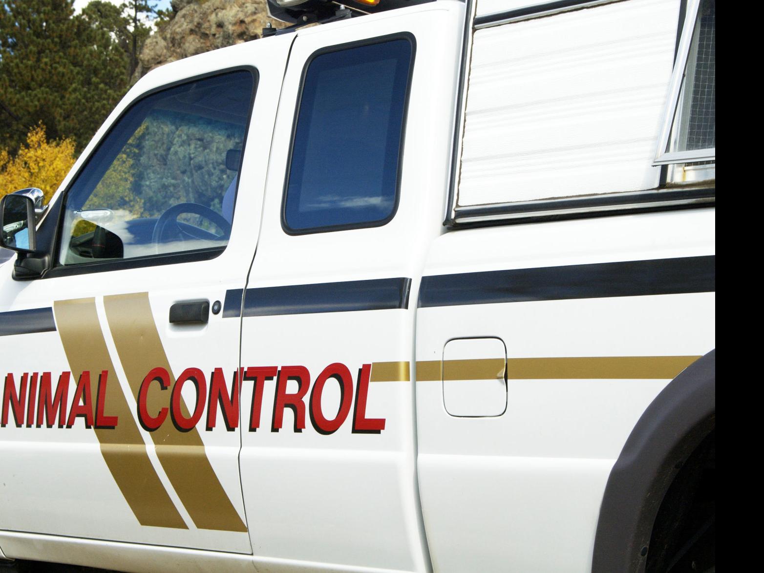 Hoke County Hunting For Dogs That Killed Llama And 16 Goats Journalnow Com