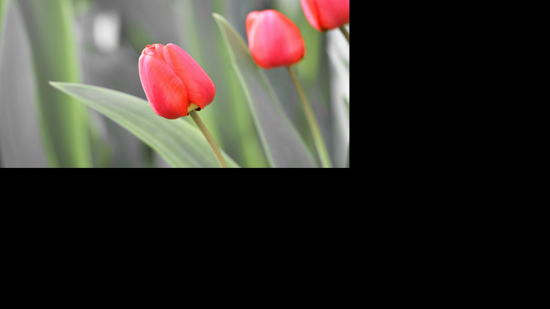 Obituaries For Sunday Jan 6 Obituaries Journalnow Com