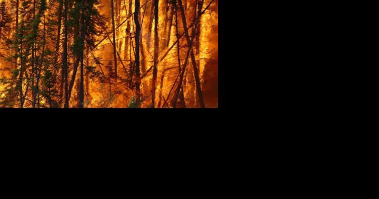 Triad faces elevated fire risk Tuesday - Vimarsana News