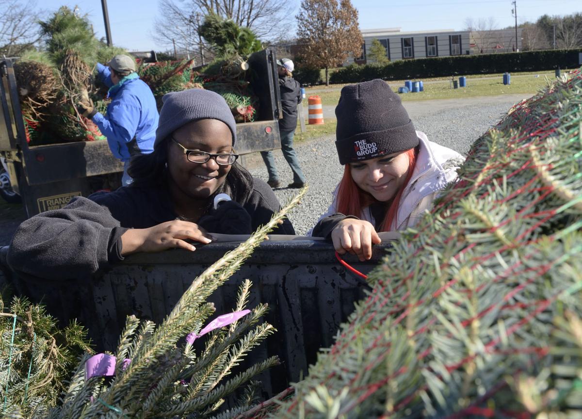 Operation Christmas Tree