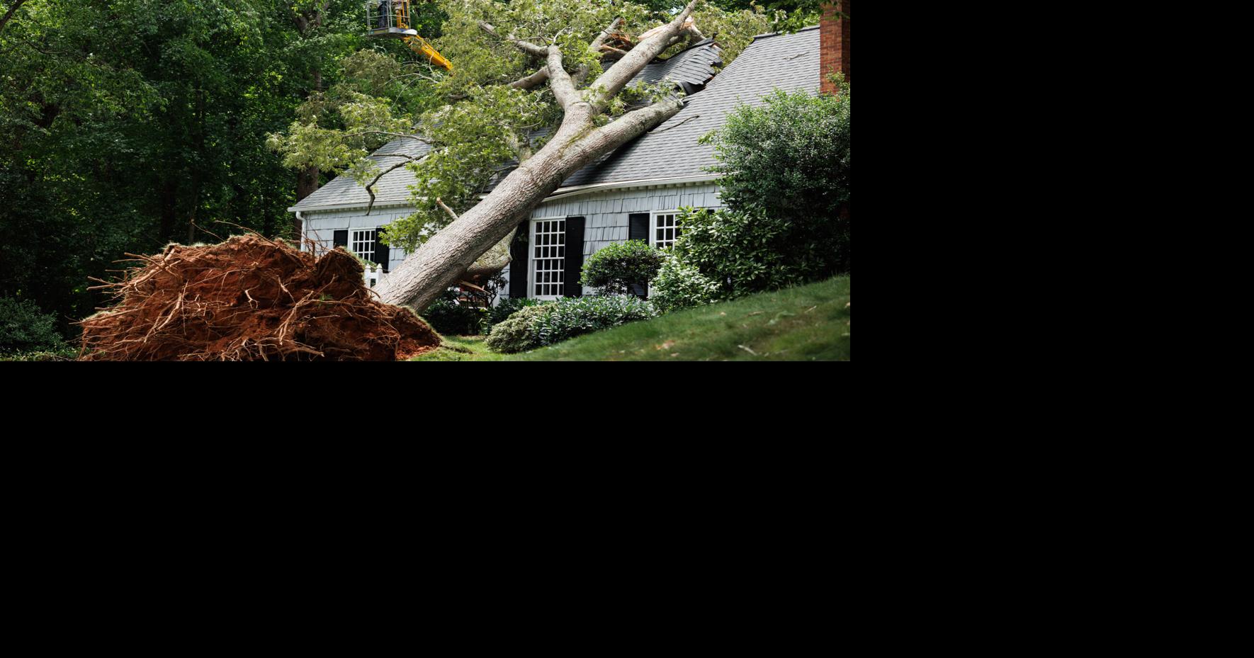Sherwood Forest Neighborhood Storm Damage